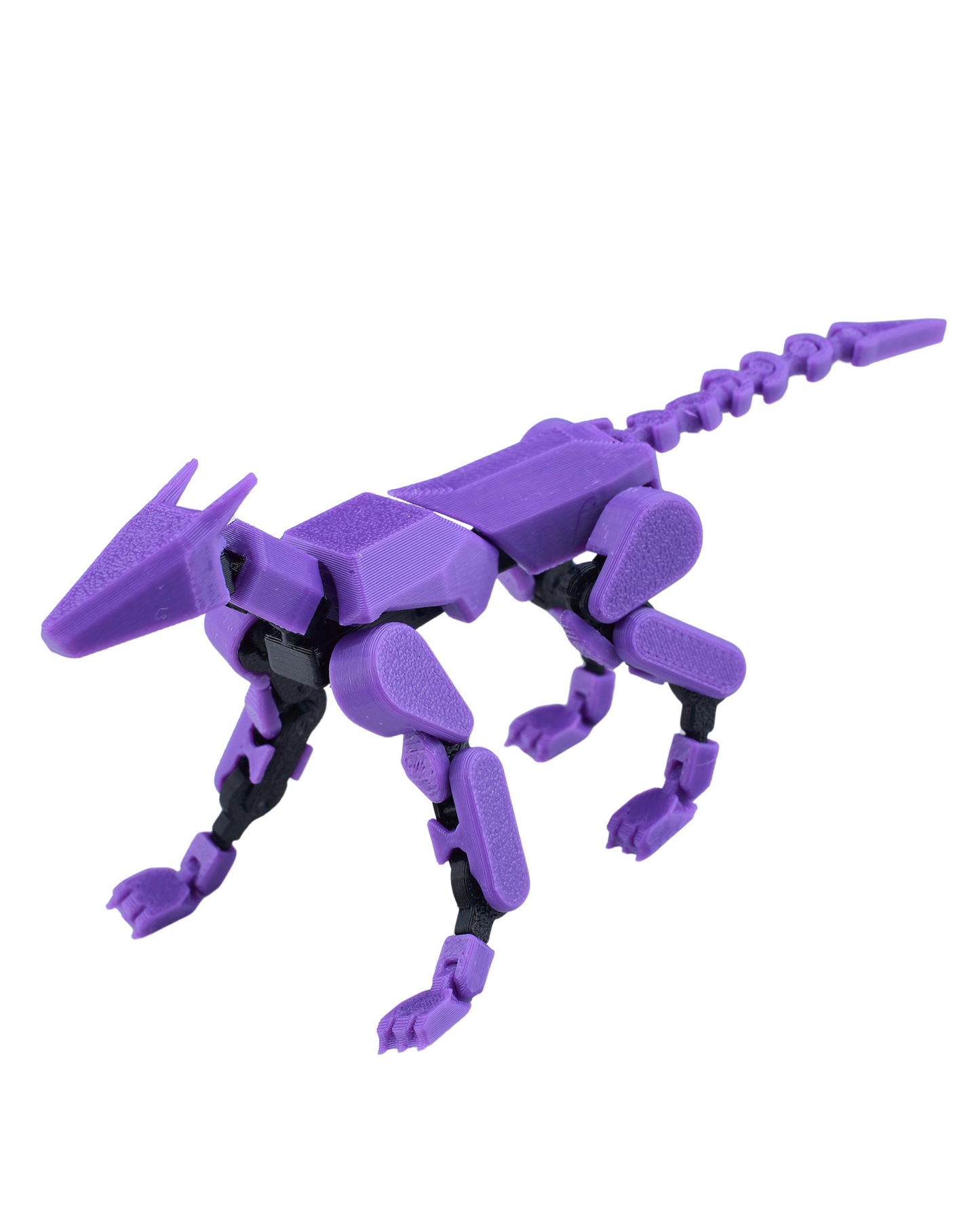 Doggy 13