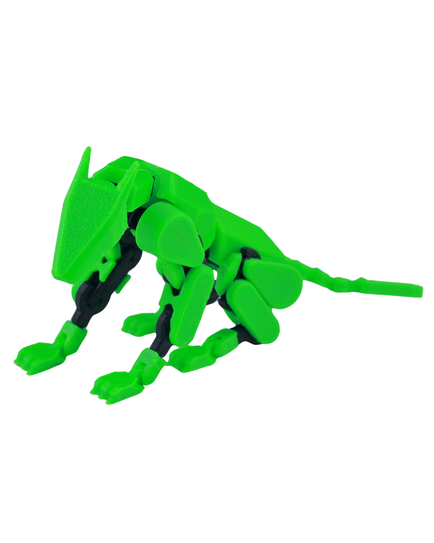 Doggy 13