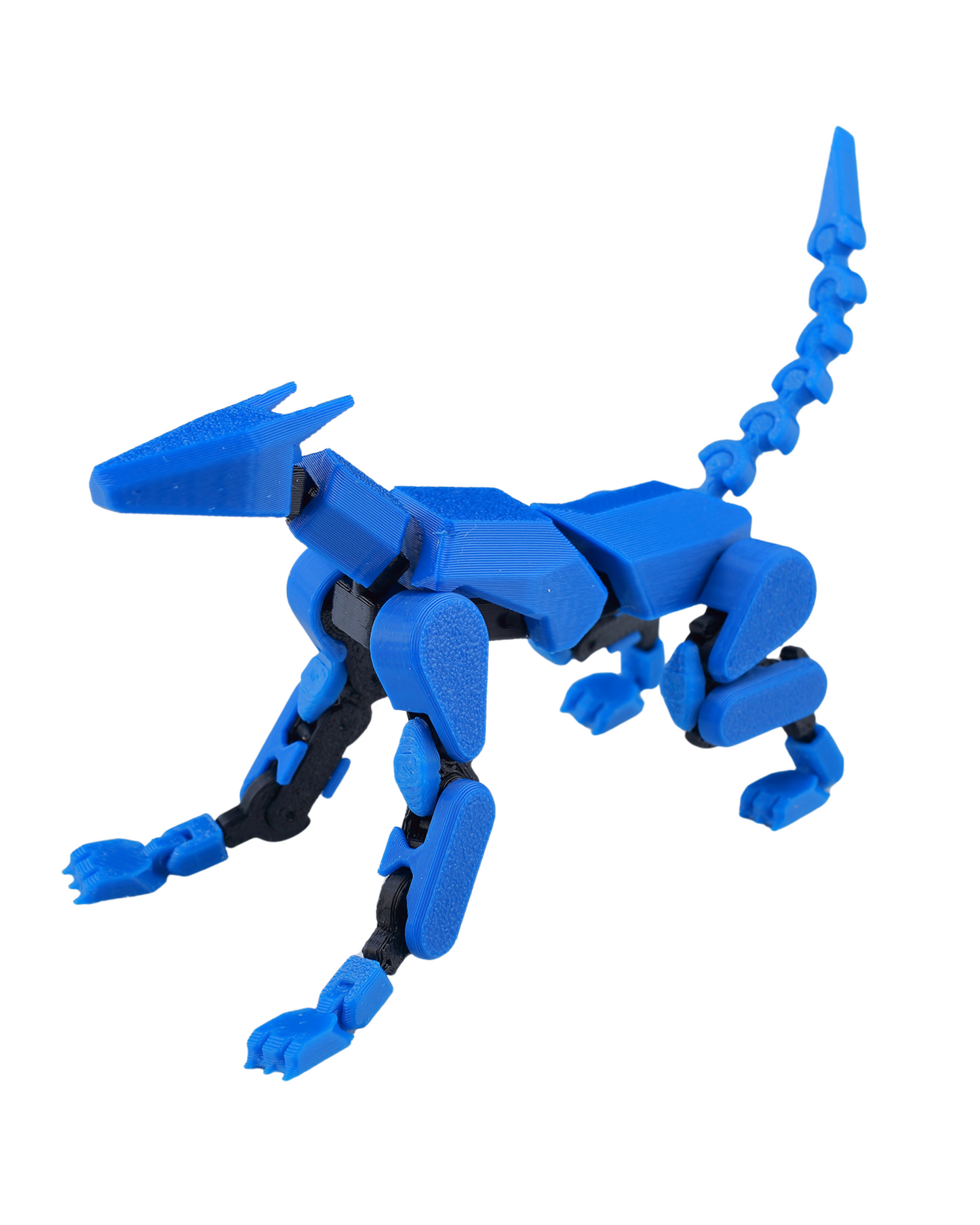 Doggy 13