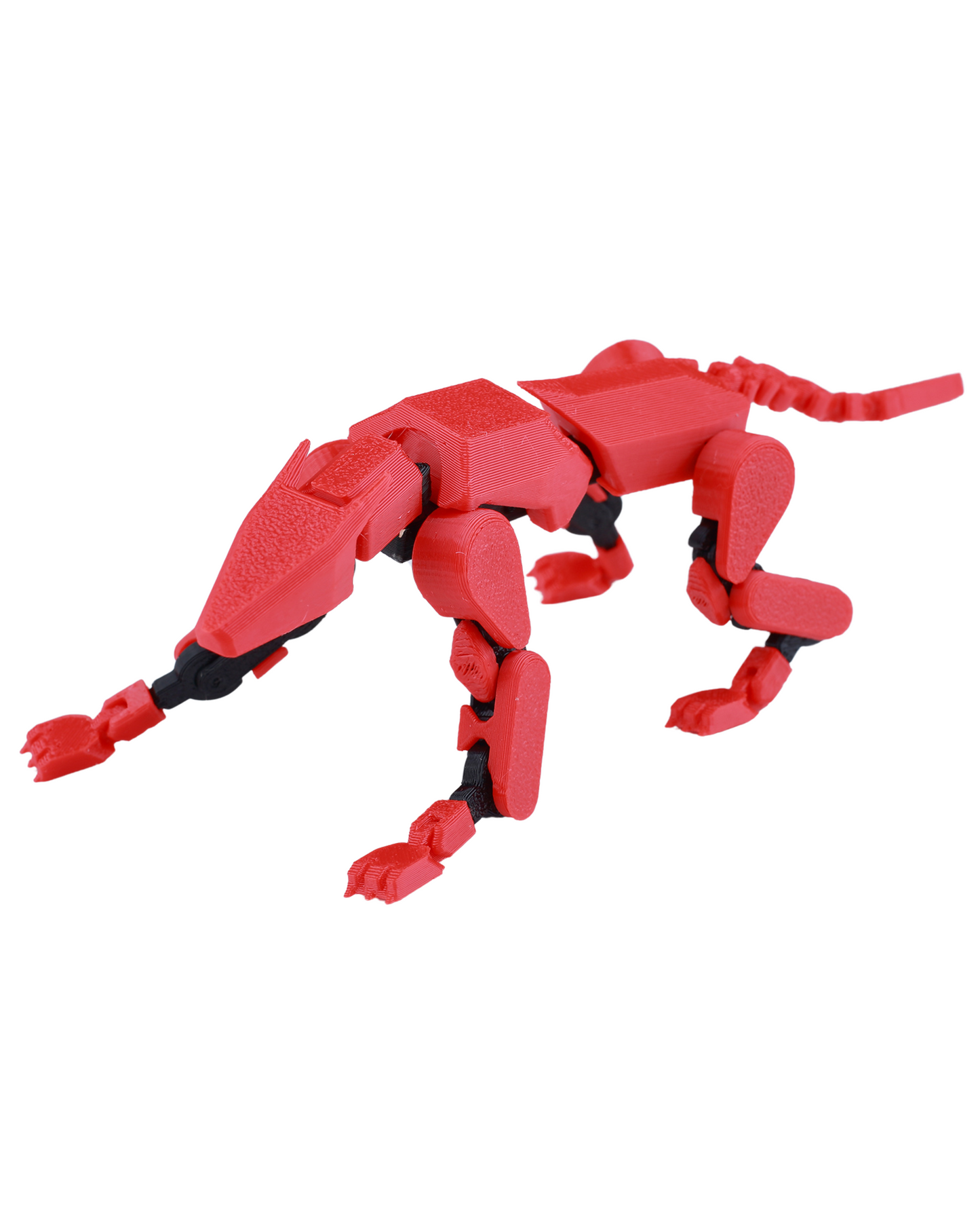 Doggy 13