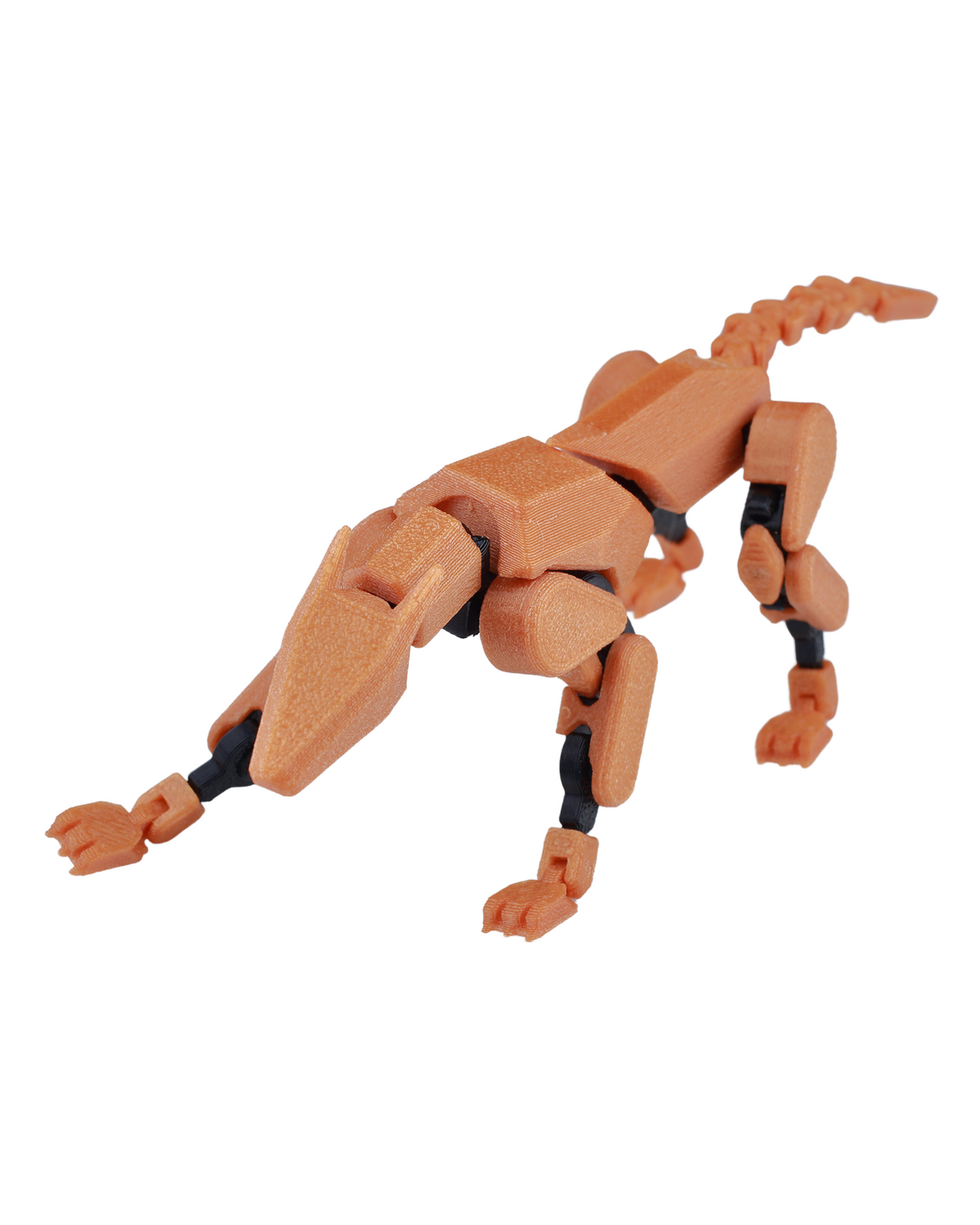 Doggy 13