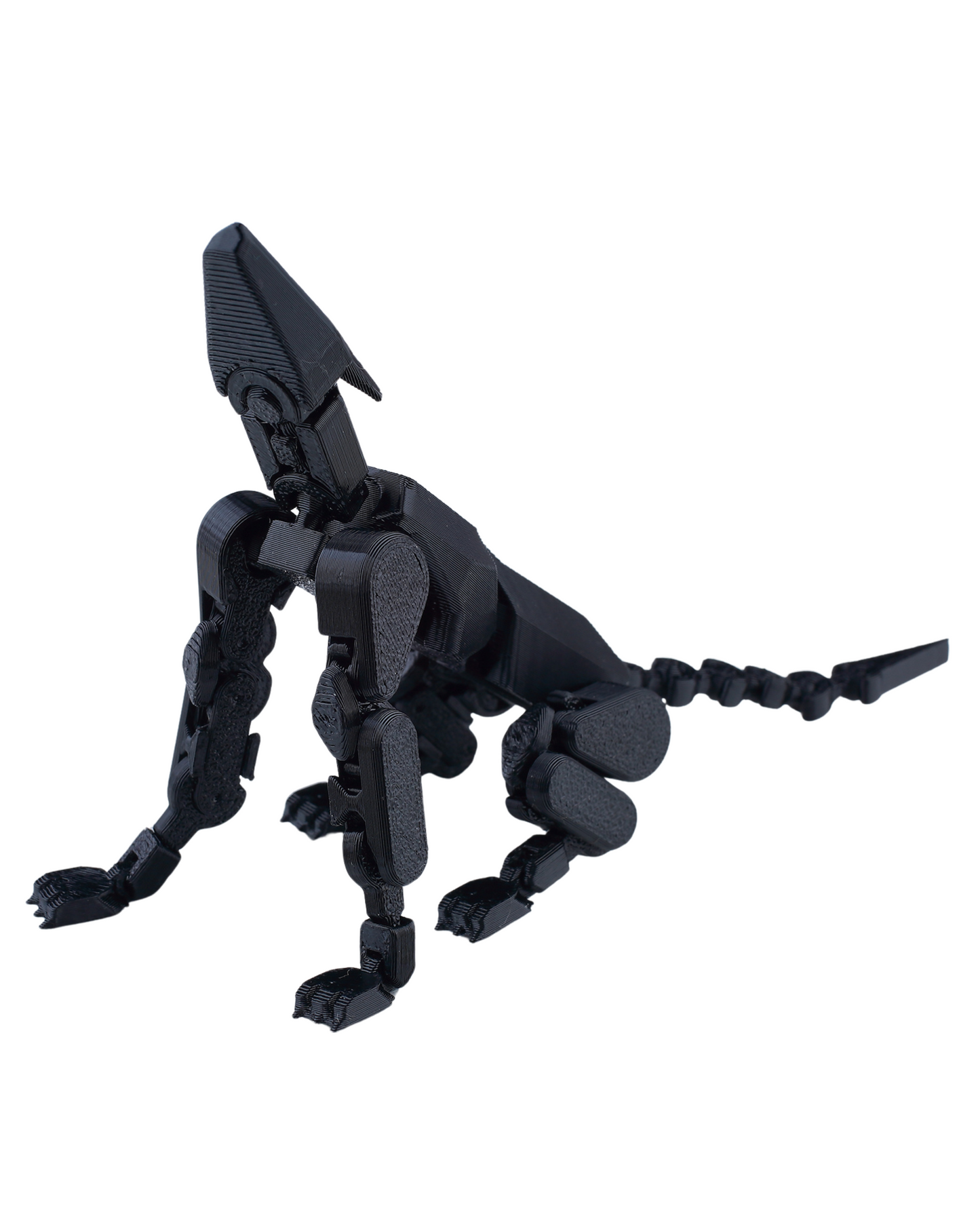Doggy 13