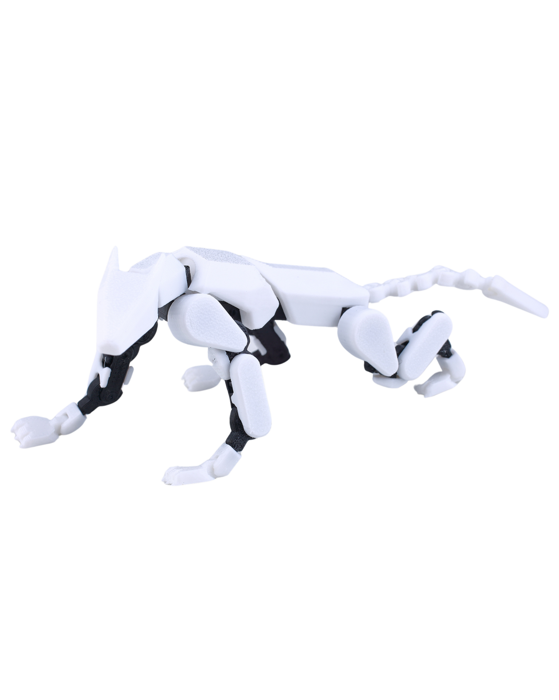 Doggy 13